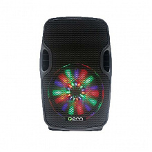 ECO VOYAGE XII акустическая система на колёсах, Bluetooth, RCA, USB 2