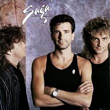 Виниловая пластинка SAGA - WILDEST DREAMS -HQ- 180 GRAM BLACK VINYL 12"