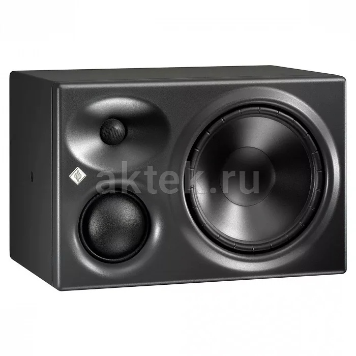 Neumann KH 310 A R G студийный монитор 2