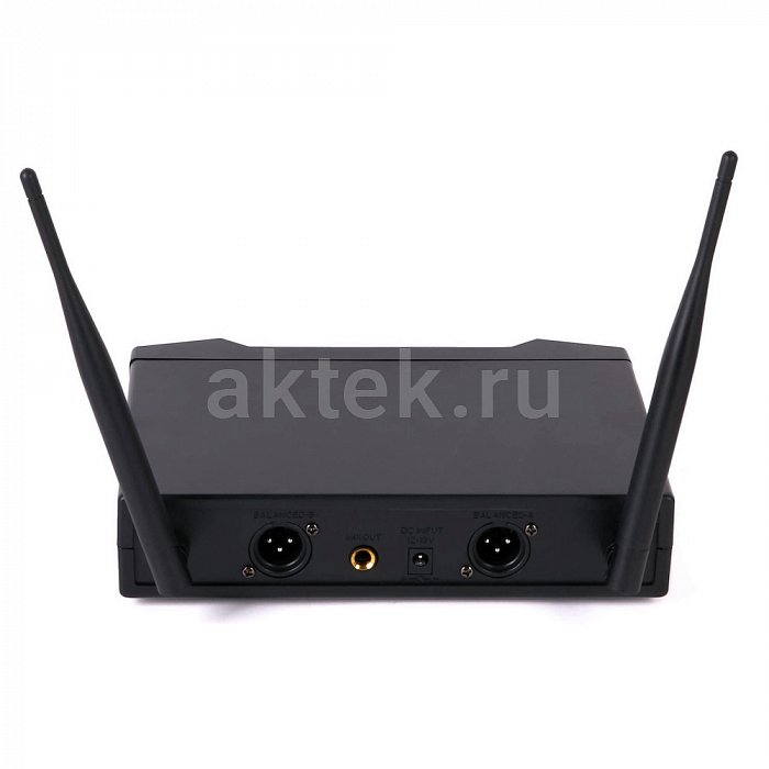 Домашний комплект караоке с микрофонами и акустикой SkyDisco Karaoke Home Set Plus SM-3BT 7