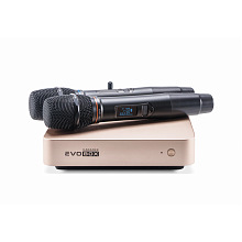 Караоке система с микрофонами Studio Evolution EVOBOX Plus Gold