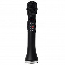 SkyDisco SingSpark караоке-микрофон с динамиком 20 Вт