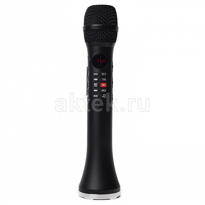SkyDisco SingSpark караоке-микрофон с динамиком 20 Вт