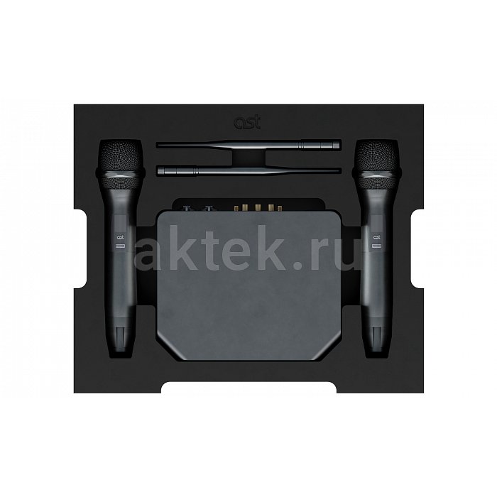 Профессиональная караоке система с микрофонами и акустикой AST Zoom+Audio Pro A38 4