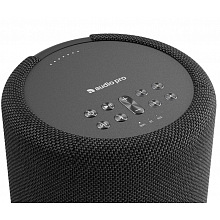 Акустическая система Audio Pro A10 MKII W Black 3