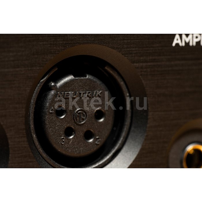 Усилитель для наушников Violectric HPA V222 4