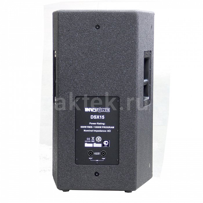 Профессиональная акустическая система Invotone DSX15 2