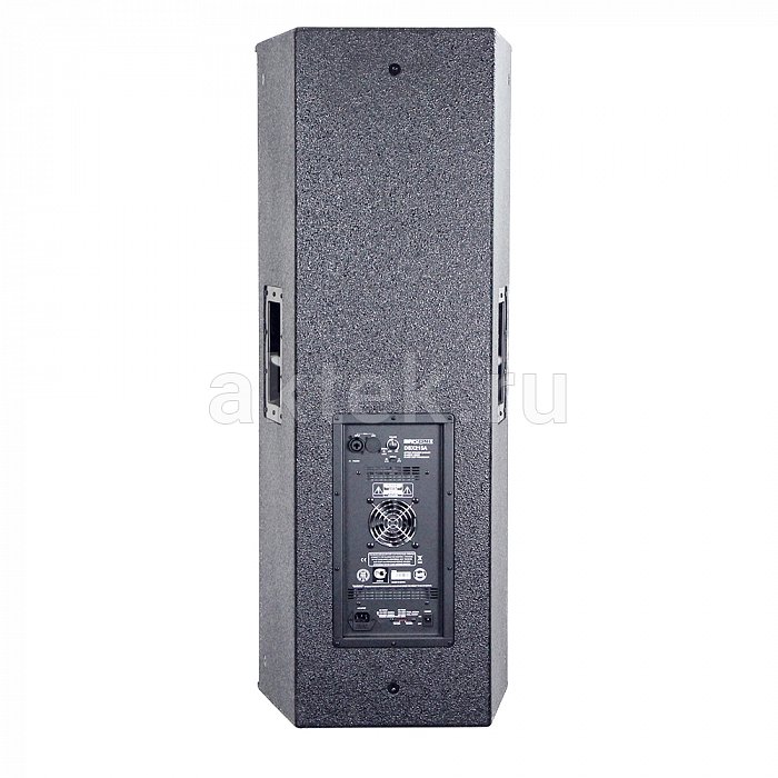 Профессиональная активная акустическая система INVOTONE DSX215A 2