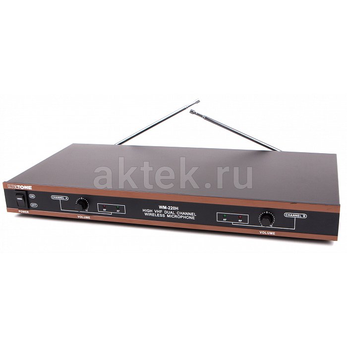 Радиосистема INVOTONE WM210 4