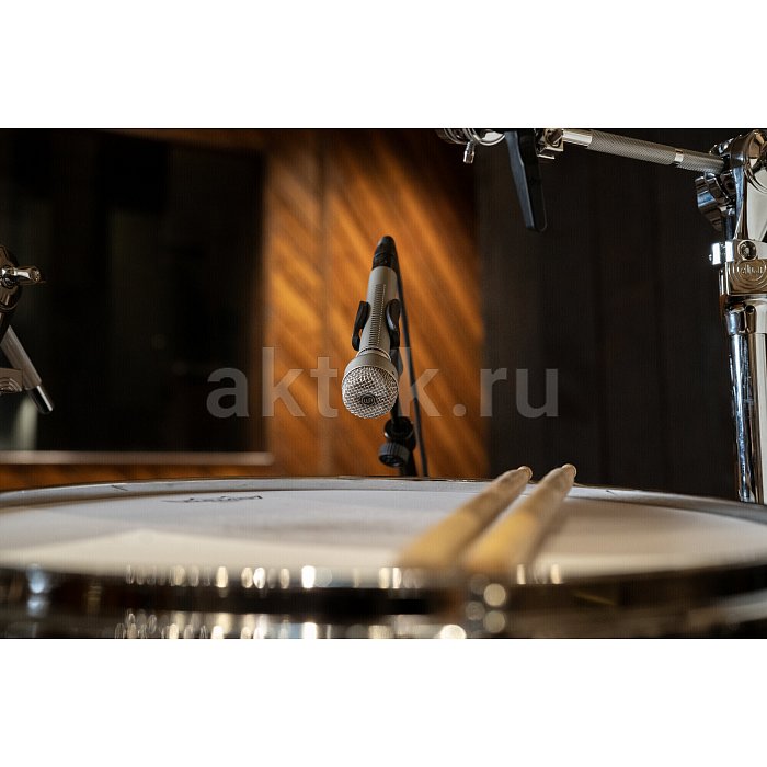 Студийный микрофон Warm Audio WA-19N 4