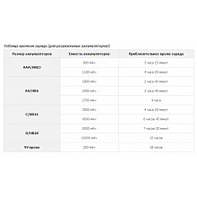 Зарядное устройство Robiton Universal 800-4 3