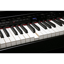 Цифровое фортепиано Roland DP90Se-PE  3
