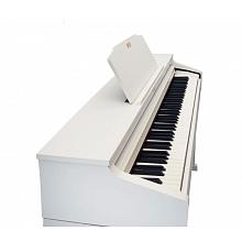 Цифровое фортепиано (White) Roland HP504-WH+KSC66-RW  2