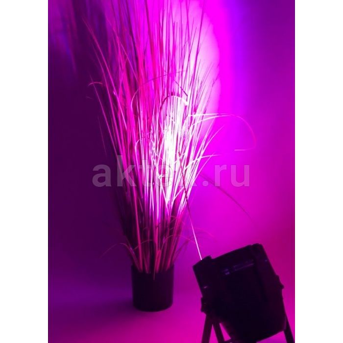 Прожектор ROSS PAR AXIS 1815 RGBWA 4