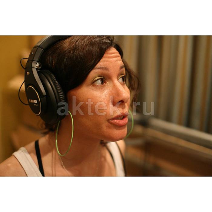 Мониторные наушники SHURE SRH840 2