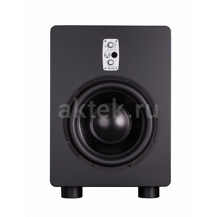 Студийный сабвуфер Eve Audio TS112