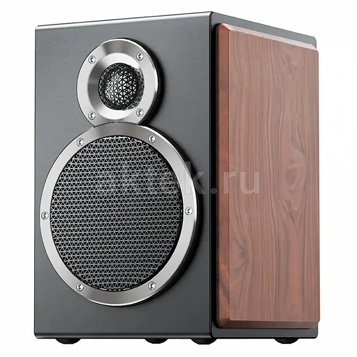 Полочная акустическая система FiiO SA1 Twilight Black 8