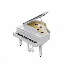 Roland GP 6 PW цифровое пианино, 88 клавиш, 256 голосов 2