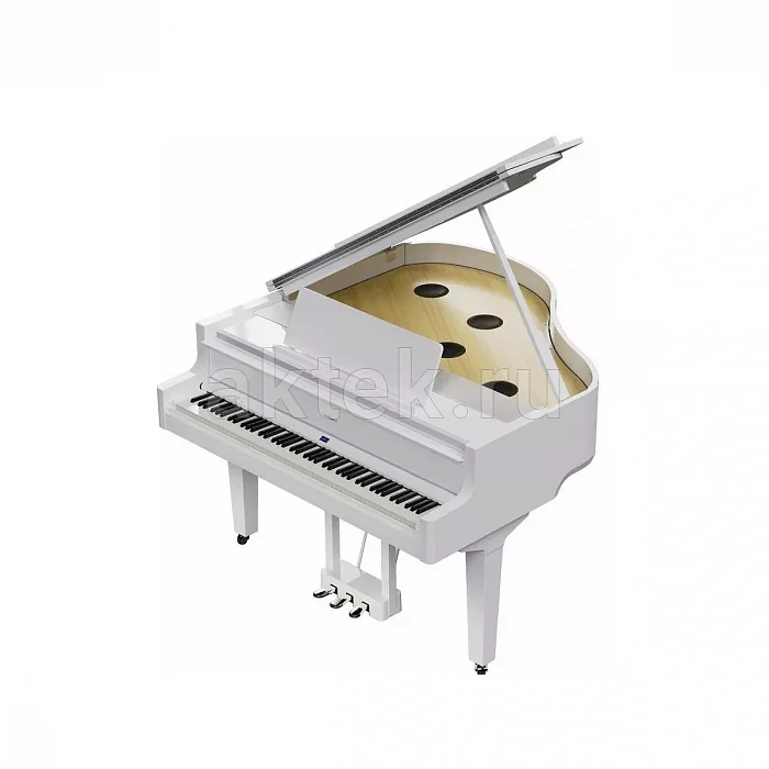 Roland GP 6 PW цифровое пианино, 88 клавиш, 256 голосов 2