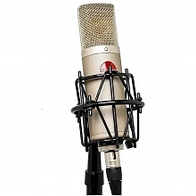 Студийный микрофон Mojave Audio MA-200SN 2 Студийный микрофон Mojave Audio MA-200SN 2