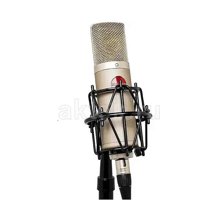Студийный микрофон Mojave Audio MA-200SN 2