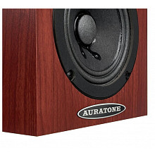Студийные мониторы Auratone 5C Passive Pair Wood 2