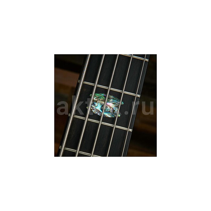 Бас-гитара Spector Euro5 CST Natural 5