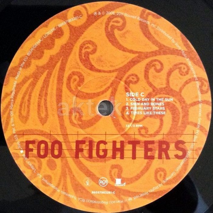 Виниловая пластинка FOO FIGHTERS - SKIN AND BONES 180 GRAM BLACK VINYL 12" 5