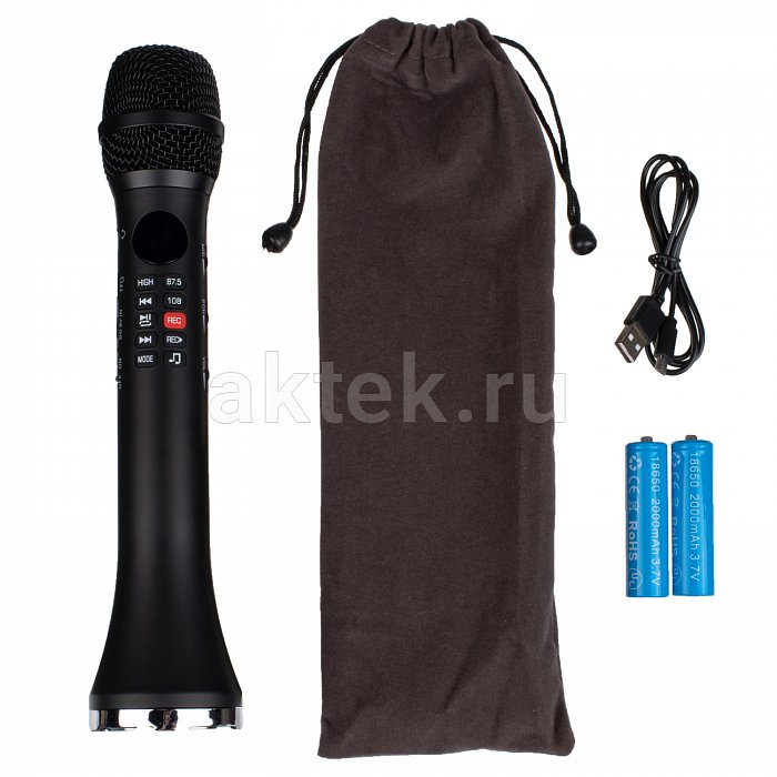 SkyDisco SingSpark караоке-микрофон с динамиком 20 Вт 5