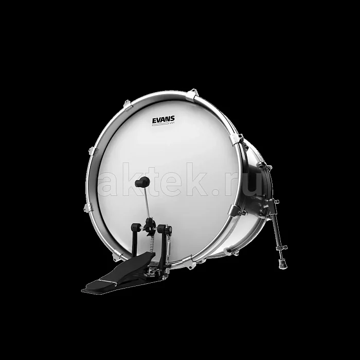 Evans BD20UV1 20" UV1 барабанный пластик 2