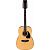 Гитара двенадцатиструнная IBANEZ PF1512-NT