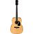 Акустическая гитара IBANEZ PF15-NT