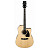 Гитара электроакустическая IBANEZ PF15ECE-NT