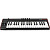 MIDI-клавиатура IK MULTIMEDIA iRig Keys 2 Pro