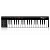 MIDI клавиатура IK MULTIMEDIA iRig Keys 37