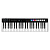 Продакшн-станция IK MULTIMEDIA iRig Keys I/O 49