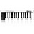MIDI клавиатура IK MULTIMEDIA iRig Keys PRO