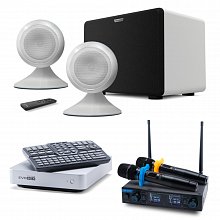 Премиальный комплект караоке с микрофонами и акустикой EVOBOX Silver + SE200D + Sphere 2.1 Pearl