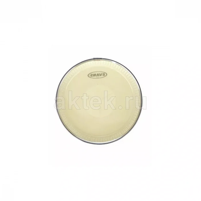 Evans EC1100 Conga Head 11" барабанный пластик 3