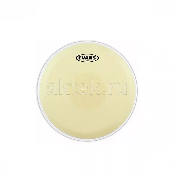Evans EC1100 Conga Head 11" барабанный пластик 2