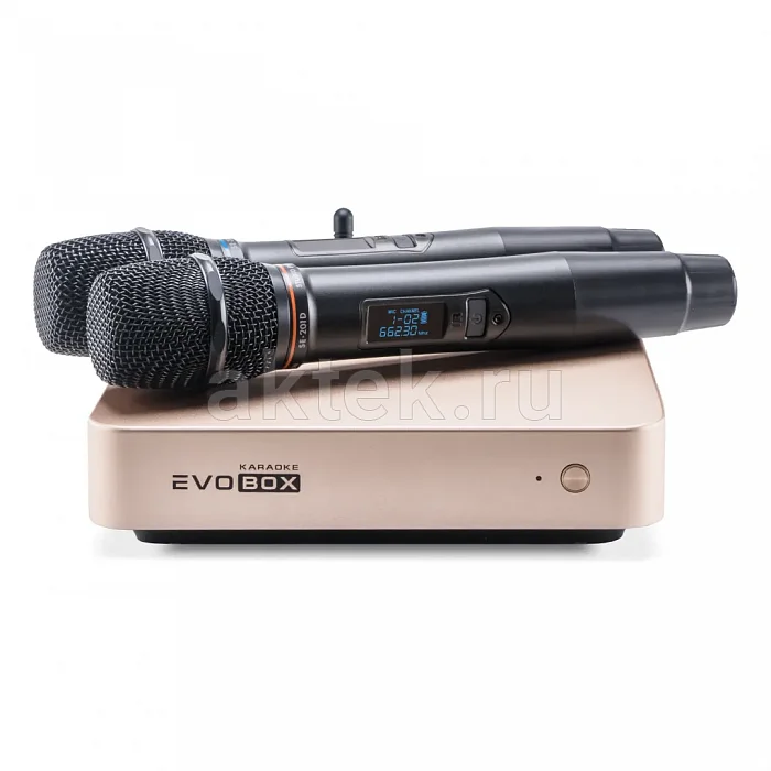 Караоке система с микрофонами Studio Evolution EVOBOX Plus с годовым обновлением Gold