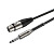ROXTONE SMXJ210/10 микрофонный кабель XLR–Jack, 10 м