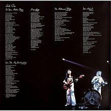 Виниловая пластинка QUEEN - A DAY AT THE RACES 180 GRAM BLACK VINYL 12" 2