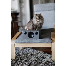 Портативная акустическая система Audio Pro Addon T3+ Grey 3 Портативная акустическая система Audio Pro Addon T3+ Grey 3