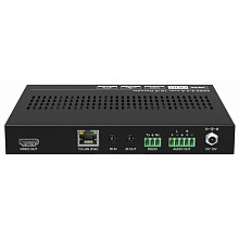 Digis EX-IP100R-1G приёмник, 4K, до 100 м, для цифровой AV-коммутации