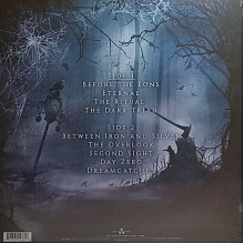 Виниловая пластинка AENIMUS - DREAMCATCHER 180 GRAM BLACK VINYL 12" 2