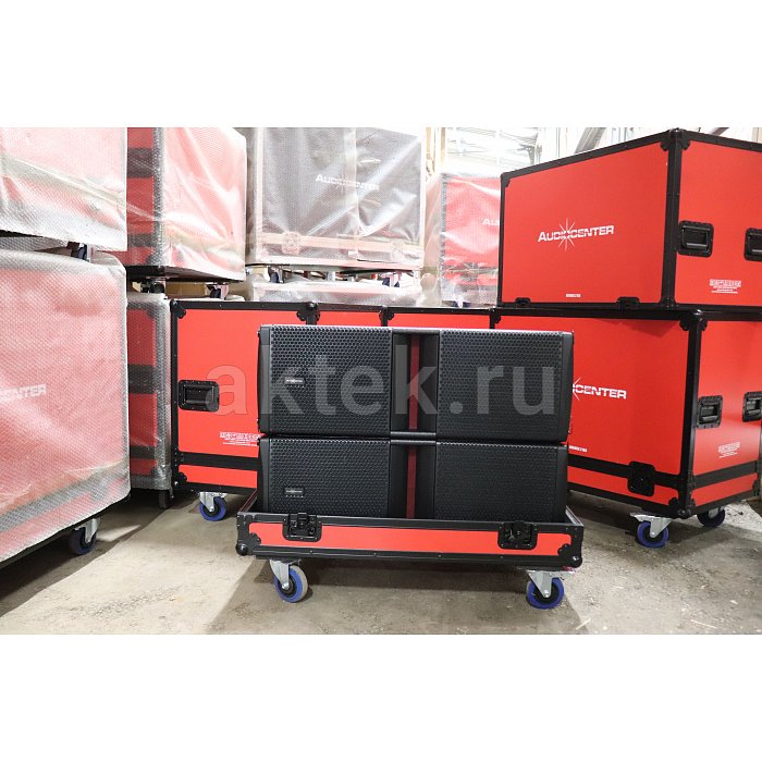 Audiocenter туровый кейс для 2 х WM210-DSP напольных сценических