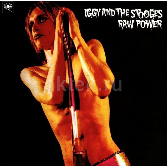Виниловая пластинка IGGY POP & THE STOOGES - RAW POWER 180 GRAM BLACK VINYL 12"