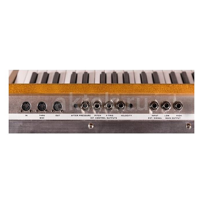 Синтезатор Moog Minimoog Model D 5