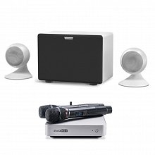 Домашнее профессиональное караоке EVOBOX PLUS Silver + Sphere 2.1 Pearl